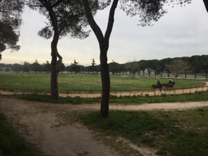Ippodromo Capannelle